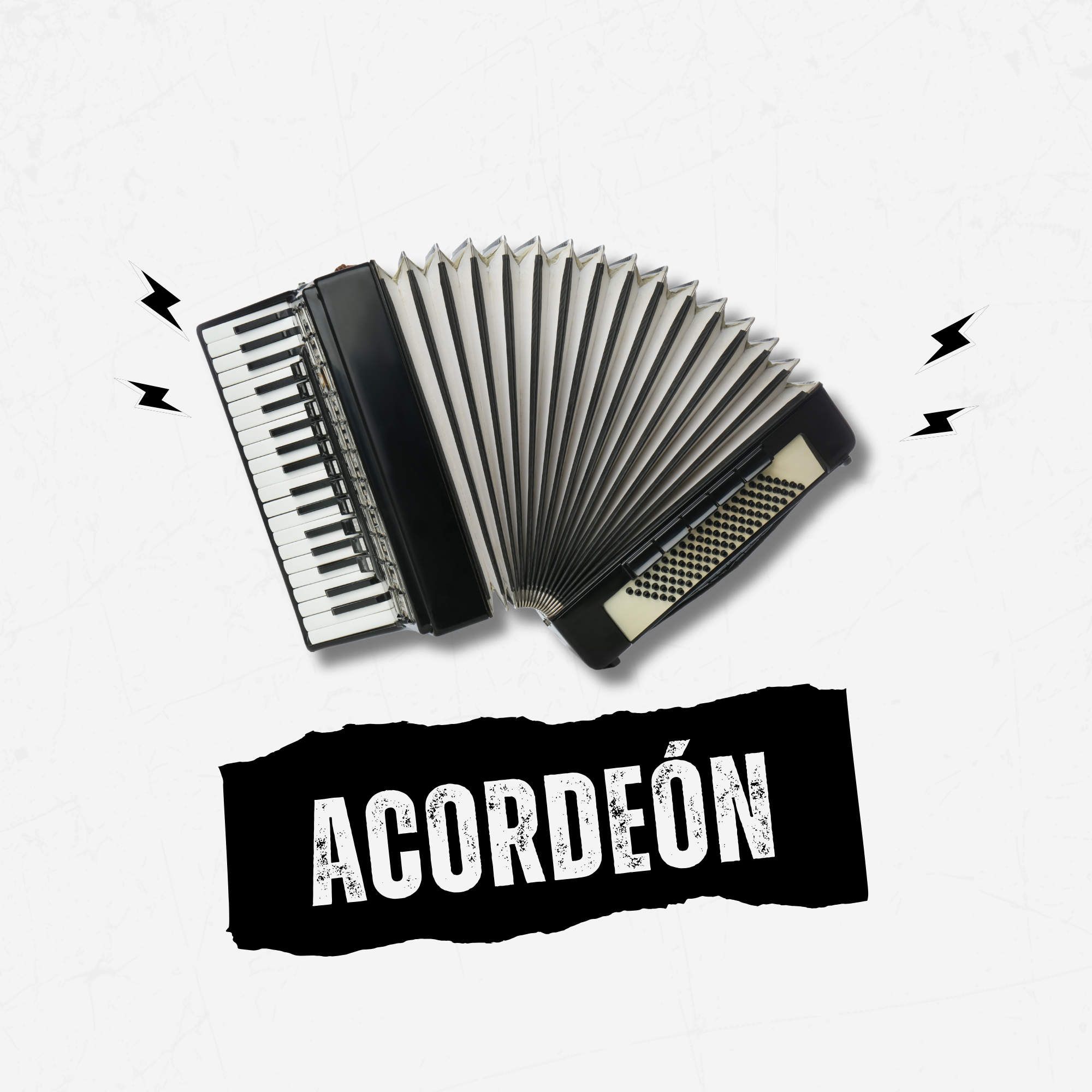 FUNDAS DE ACORDEÓN