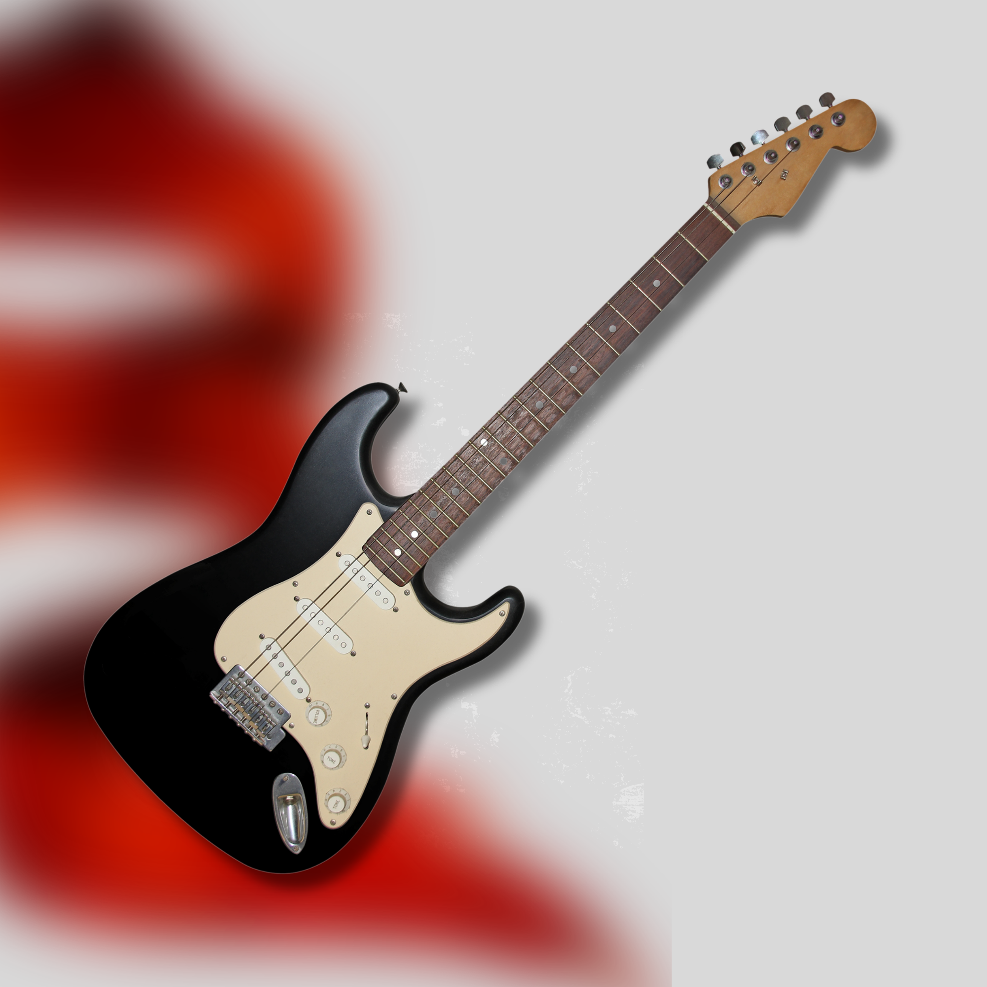 FUNDAS PARA GUITARRA