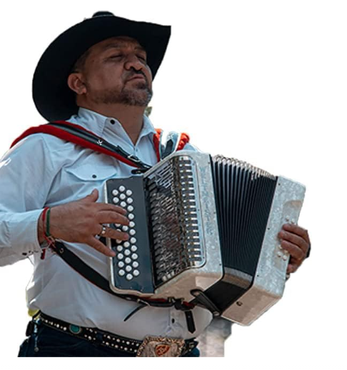 STRAP DE ACORDEÓN - NEGRO